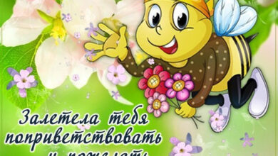 Photo of С добрым днем — картинки