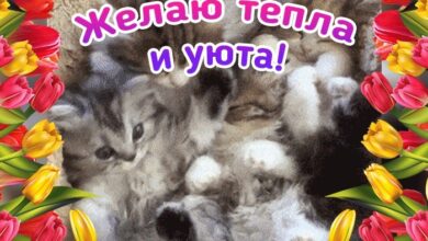 Photo of Картинки желаю уюта и тепла