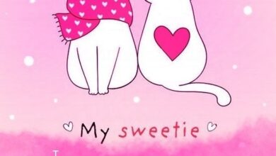 Photo of Миша, я тебя люблю — картинки