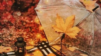 Photo of Добрый осенний вечер — картинки