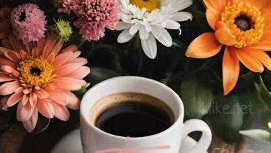 Photo of Картинки хорошего вторника