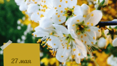Photo of Доброе утро 27 мая — картинки