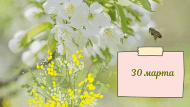 Photo of Доброе утро 30 марта — картинки