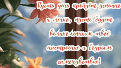 Photo of Доброе утро 4 июня — картинки