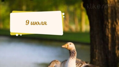 Photo of Картинки доброе утро 9 июля