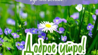 Photo of Картинки доброе утро 6 августа