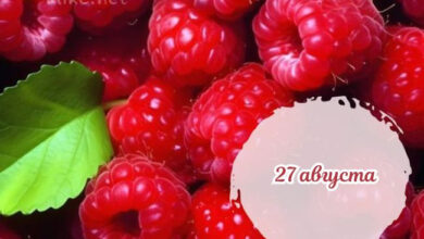 Photo of Картинки доброе утро 27 августа