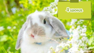 Photo of Картинки с пожеланиями на 4 июня