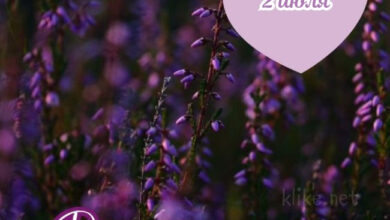 Photo of Картинки с пожеланиями на 2 июля