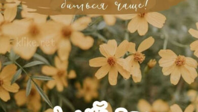 Photo of Картинки с пожеланиями на 4 июля