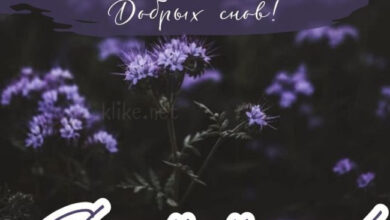 Photo of Картинки с пожеланиями на 5 июля