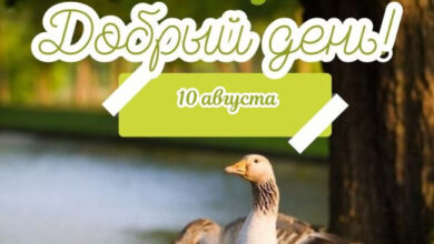 Photo of Картинки на 10 августа с пожеланиями
