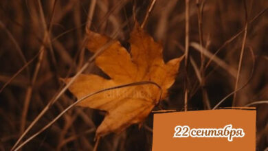 Photo of Картинки с пожеланиями на 22 сентября