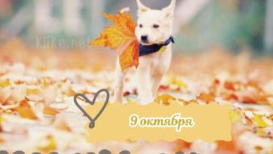 Photo of Картинки на 9 октября с пожеланиями