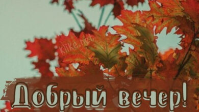 Photo of Картинки на 26 октября с пожеланиями