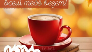 Photo of Картинки на 14 ноября с пожеланиями
