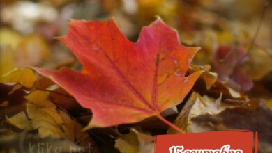 Photo of Картинки доброе утро 15 сентября