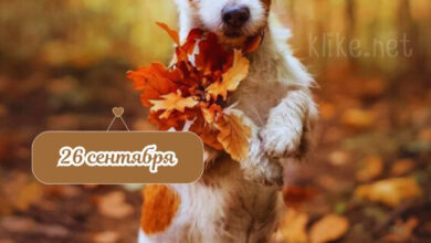 Photo of Доброе утро 26 сентября — картинки