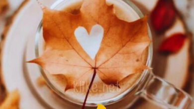 Photo of Картинки доброе утро 18 ноября