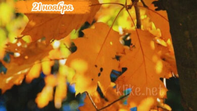 Photo of Картинки доброе утро 21 ноября