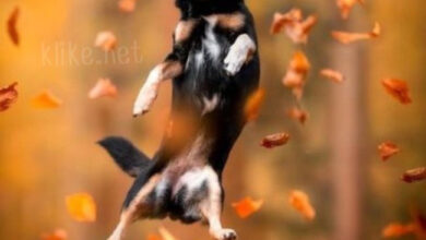 Photo of Картинки доброе утро 28 ноября