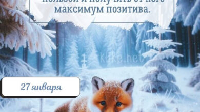 Photo of Доброе утро 27 января — картинки