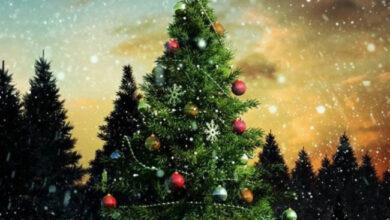 Photo of Картинки с пожеланиями на 9 января