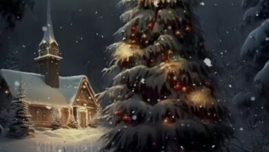 Photo of Картинки на 14 февраля с пожеланиями