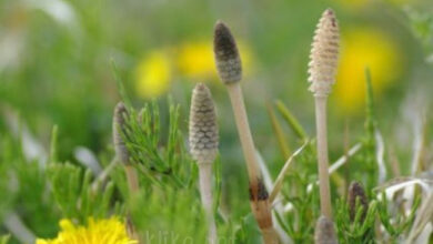 Photo of Картинки на 16 марта с пожеланиями