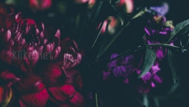 Photo of Картинки с пожеланиями на 14 апреля