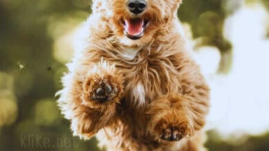 Photo of Картинки на 14 мая с пожеланиями