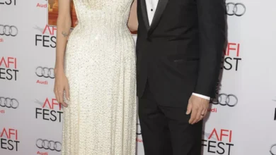 Photo of Брэд Питт опять подал в суд на Анджелину Джоли — что произошло