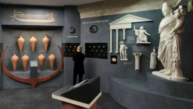 Photo of Городская ось и дыхание земли: на какие выставки отправиться в ноябре