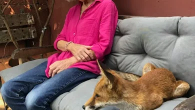 Photo of Кейт Бекинсейл эмоционально почтила мать в памятном послании