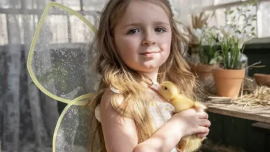 Photo of Объявившая о разводе жена Константина Ивлева высказалась об истериках дочери