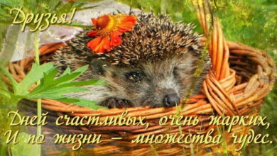 Photo of Доброй осени — картинки: Красивые открытки