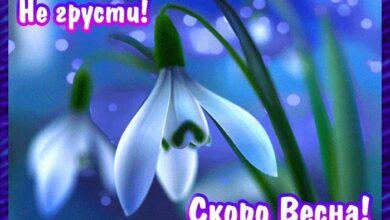 Photo of Скоро весна — картинки