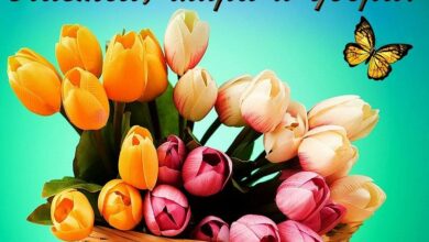 Photo of Счастья вам — картинки