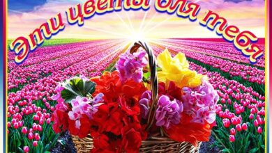 Photo of Эти цветы для тебя — картинки: Элегантные открытки