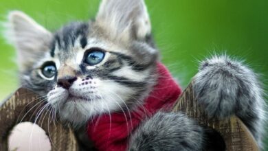 Photo of Желаю вдохновения — картинки