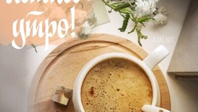 Photo of Картинки Доброе летнее утро