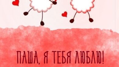 Photo of Паша, я тебя люблю — картинки