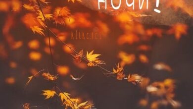 Photo of Картинки Спокойной осенней ночи