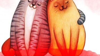 Photo of Эльза, я тебя люблю — картинки: Замечательные открытки