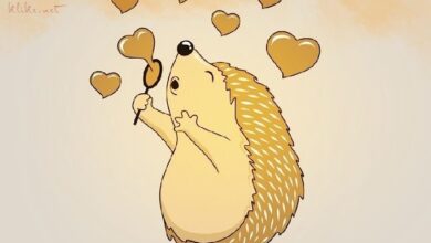 Photo of Клава, я тебя люблю — картинки