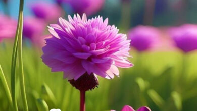 Photo of Доброе мартовское утро субботы — картинки