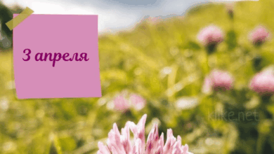 Photo of Картинки Доброе утро 3 апреля