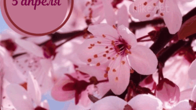 Photo of Доброе утро 5 апреля — картинки