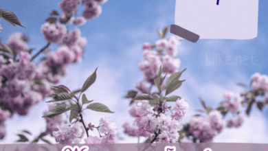 Photo of Картинки Доброе утро 8 апреля