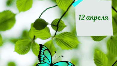 Photo of Доброе утро 12 апреля — картинки